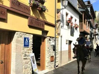 Albergue Señor Oso