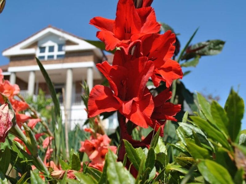 Hotel Fuente El Hayedo