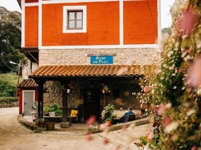 Albergue Aves de Paso