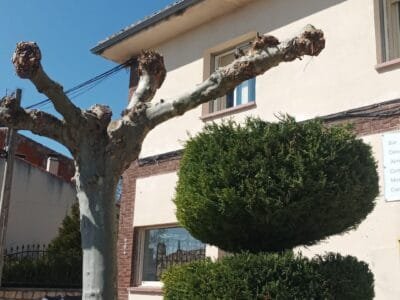 Albergue Municipal La Parada